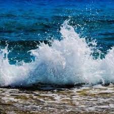 Christopher D. avatar