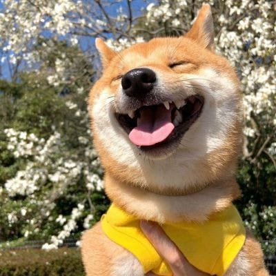 Cynthia Villar avatar